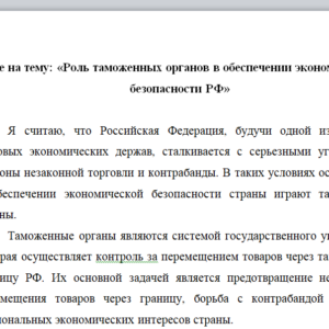 Эссе на тему: «Роль таможенных органов в обеспечении экономической безопасности РФ»