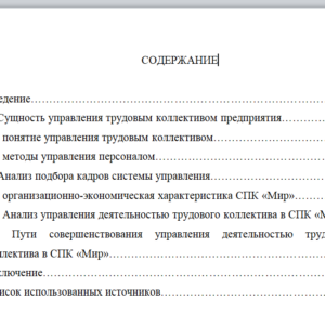 Курсовая работа на тему: "Особенности и специфика подбора кадров системы управления в организации"