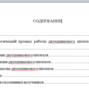 Питатель сырого угля двухшнековый