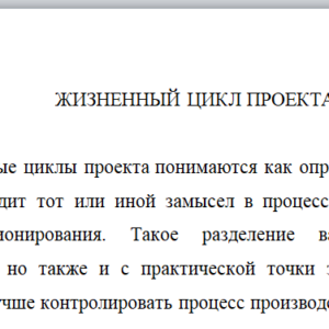 ЖИЗНЕННЫЙ ЦИКЛ ПРОЕКТА