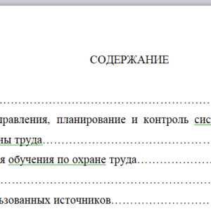 Курсовая работа  по дисциплине «Управление безопасностью труда»