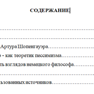 Философия Шопенгауэра
