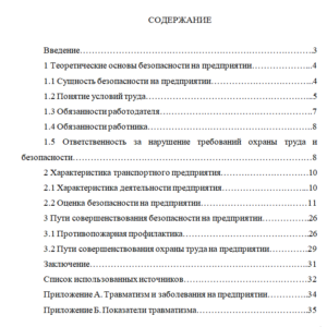 Курсовая работа на тему: Методика безопасной работы и охраны труда для транспортного предприятия