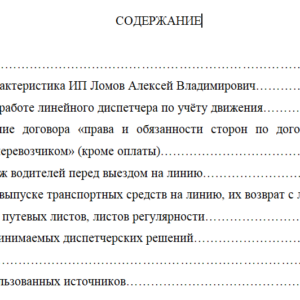 Производственная практика по выполнению работ по профессии 21635 Диспетчер автомобильного транспорта