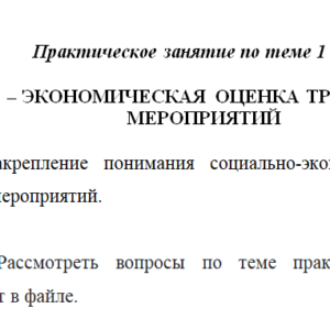 СОЦИАЛЬНО – ЭКОНОМИЧЕСКАЯ ОЦЕНКА ТРУДООХРАННЫХ МЕРОПРИЯТИЙ