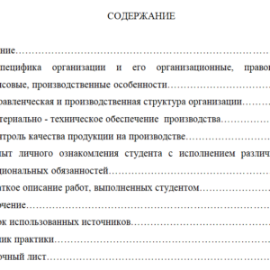 Отчет по производственной  практики  ПП 02.01