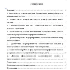 Дипломная работа на тему: Конструирование букв как средство формирования каллиграфическооо навыка первоклассников