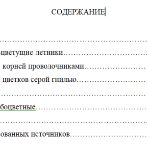 Проект по дисциплине: ДЕКОРАТИВНОЕ ЦВЕТОВОДСТВО
