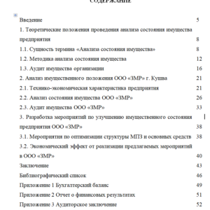 Дипломная работа на тему: Анализ имущественного состояния ООО «ЗМР» и разработка мероприятий по его улучшению